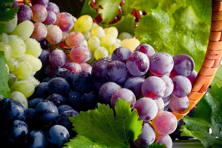 bunches of grapes in different colors - decorative image